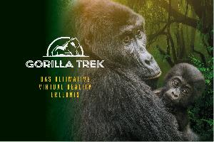 Auge in Auge mit den Berggorillas in Ruanda